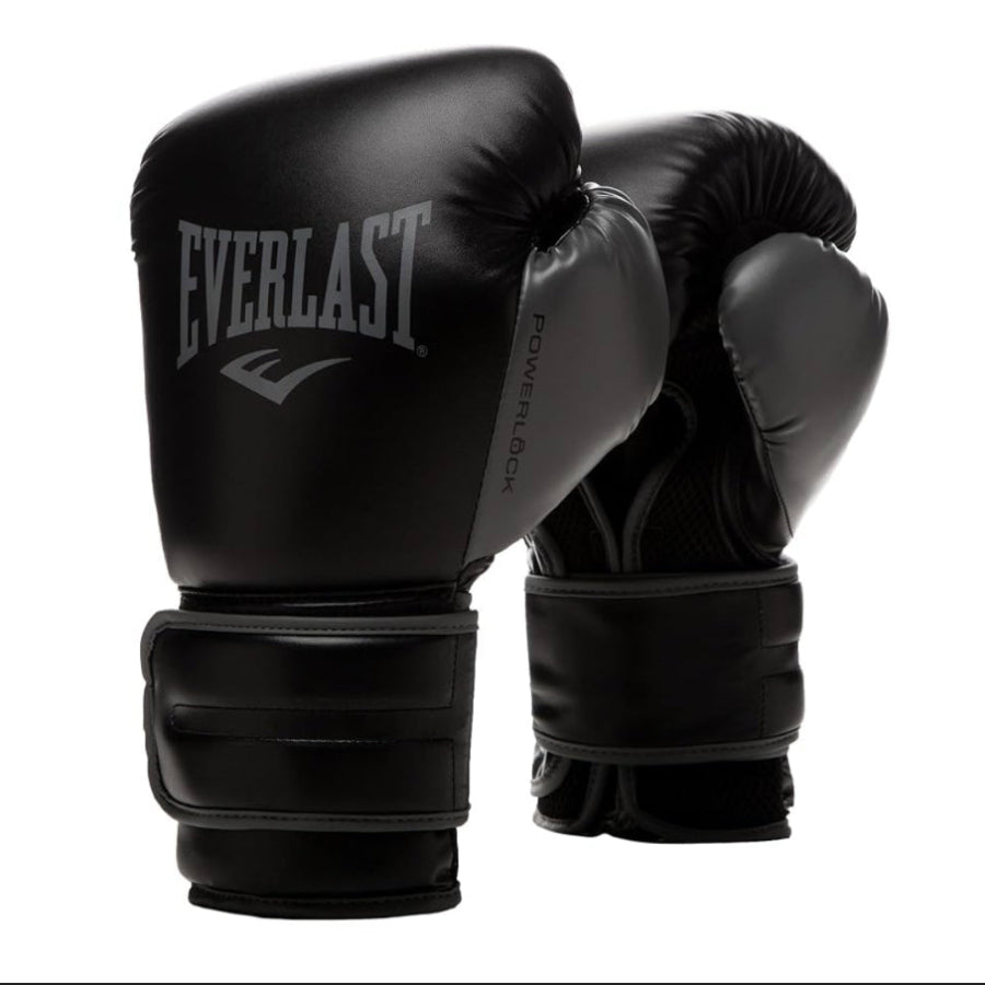 Everlast Boxing Gloves | כפפות אגרוף מקצועיות אברלסט