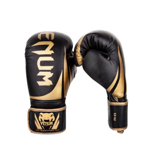 Venum professional boxing gloves | כפפות אגרוף מקצועיות של ונום