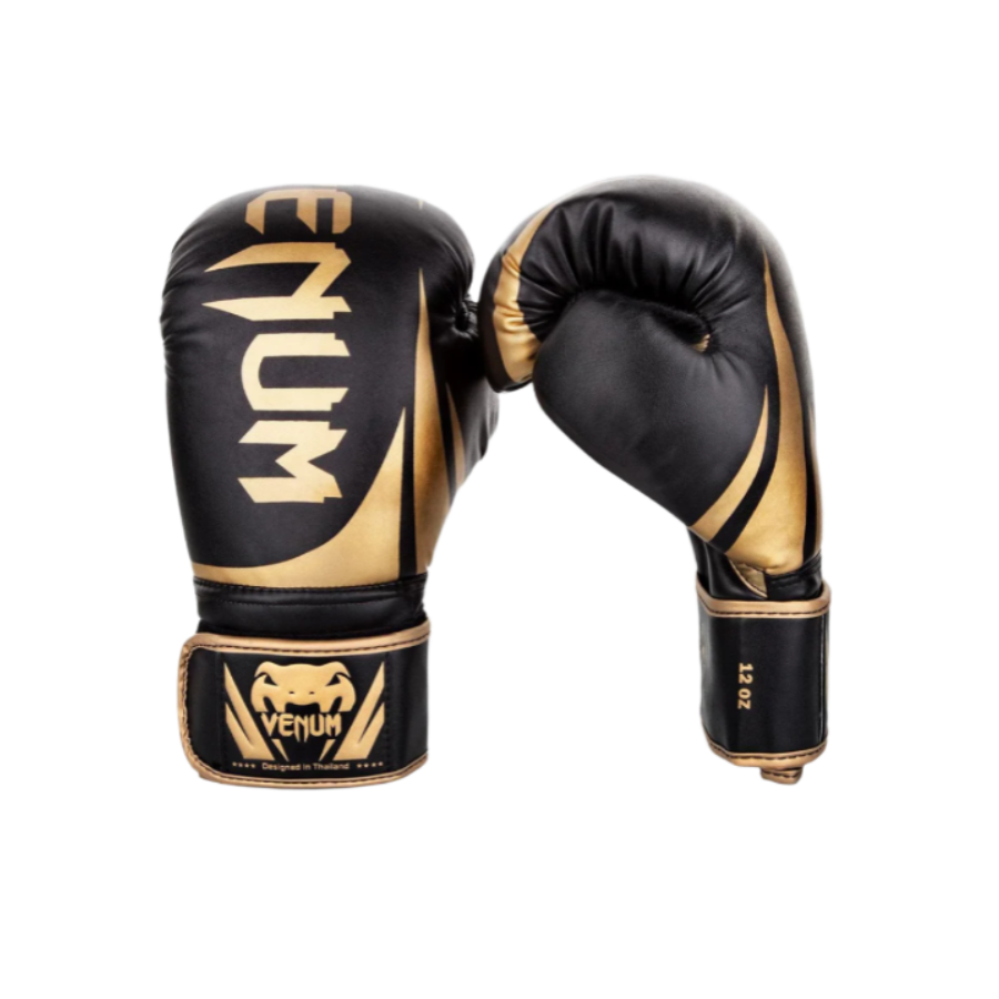 Venum professional boxing gloves | כפפות אגרוף מקצועיות ונום